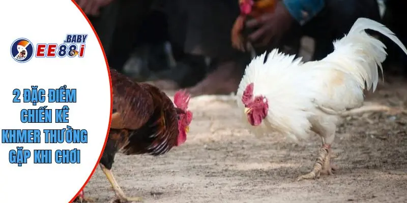 2 đặc điểm chiến kê khmer thường gặp khi chơi