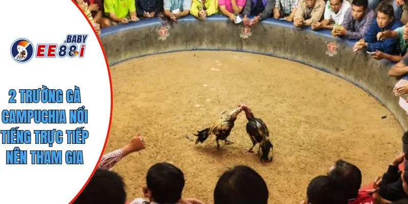 2 trường gà campuchia nổi tiếng trực tiếp nên tham gia
