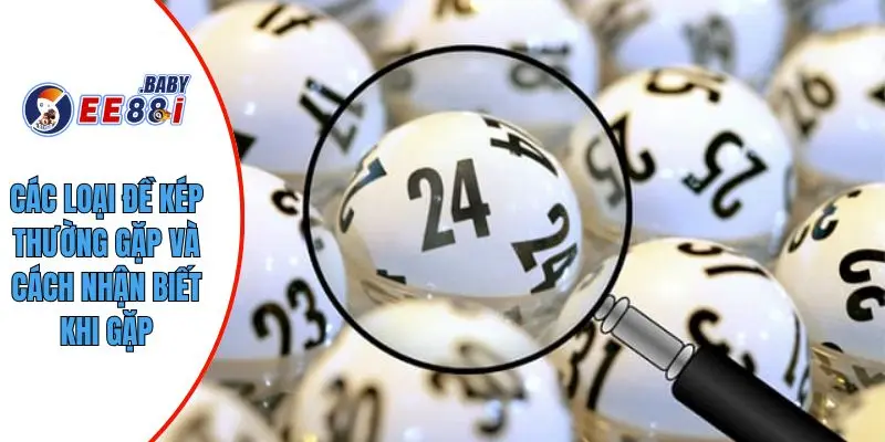 Các loại đề kép thường gặp và cách nhận biết khi gặp