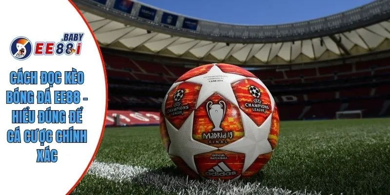 Cách Đọc Kèo Bóng Đá