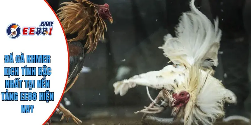 Đá Gà Khmer