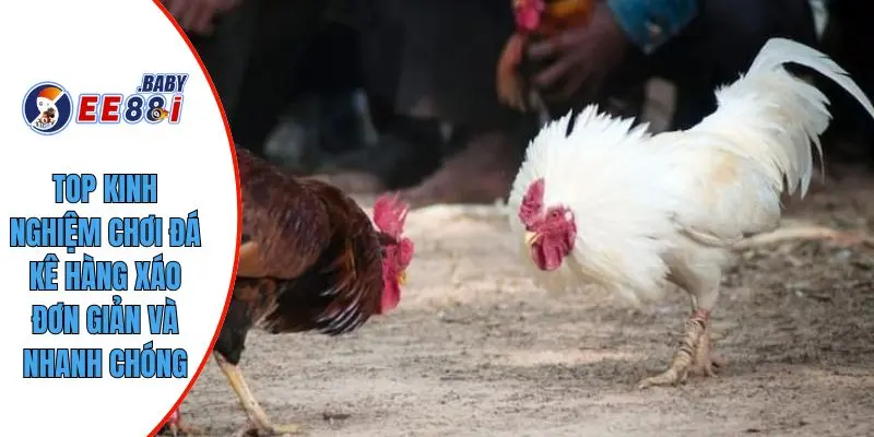 Top kinh nghiệm chơi đá kê hàng xáo đơn giản và nhanh chóng